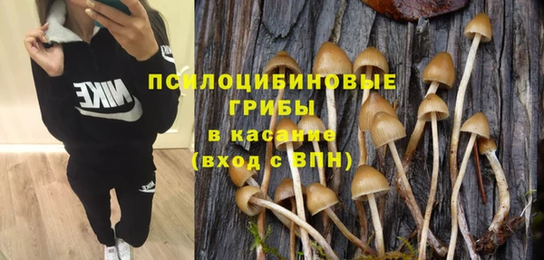 метадон Дмитриев