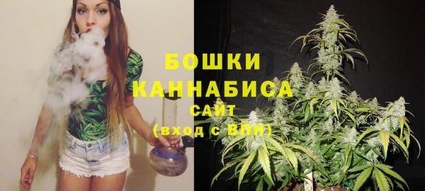 метадон Дмитриев