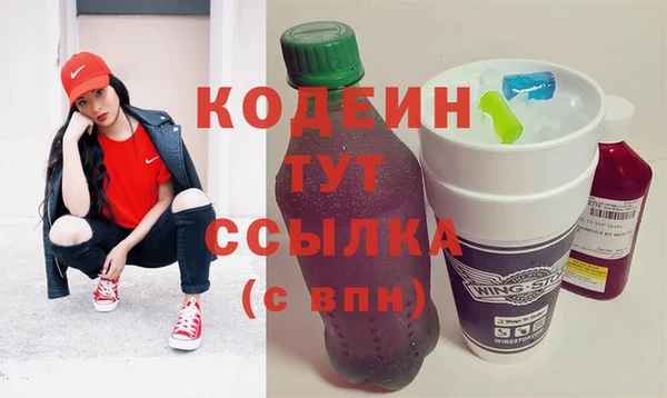 молекула духа Сясьстрой