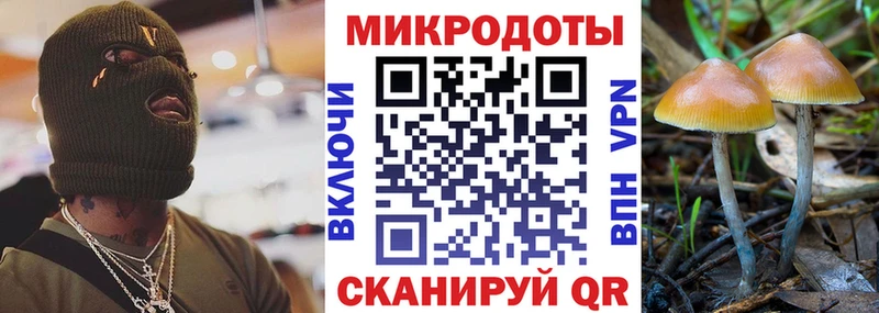 купить закладку Верхняя Тура Галлюциногенные грибы Cubensis